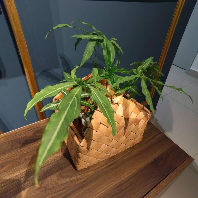 Alocasia Geniehome 3Br Free Wifi @ Utropolis Шах-Алам Екстер'єр фото